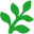 Favicon of Fern